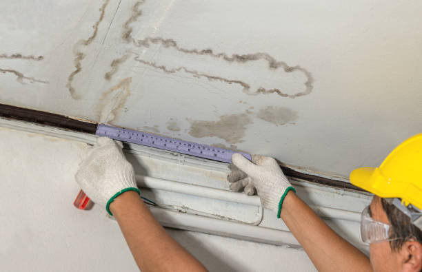 Reliable Water Damage Repair contractor in Crystal, MN by Hirex Water Damage